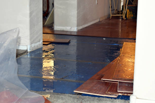 Professional Basement Flood Cleanup technician working in Somerset, PA
